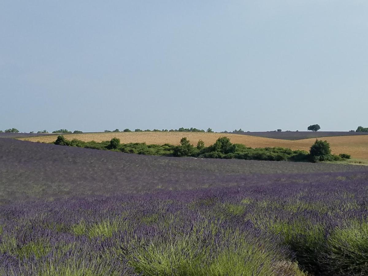 Gite Les Fourches Baudinard Εξωτερικό φωτογραφία